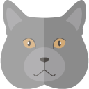 chartreux
