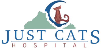 Just Cats Hospital