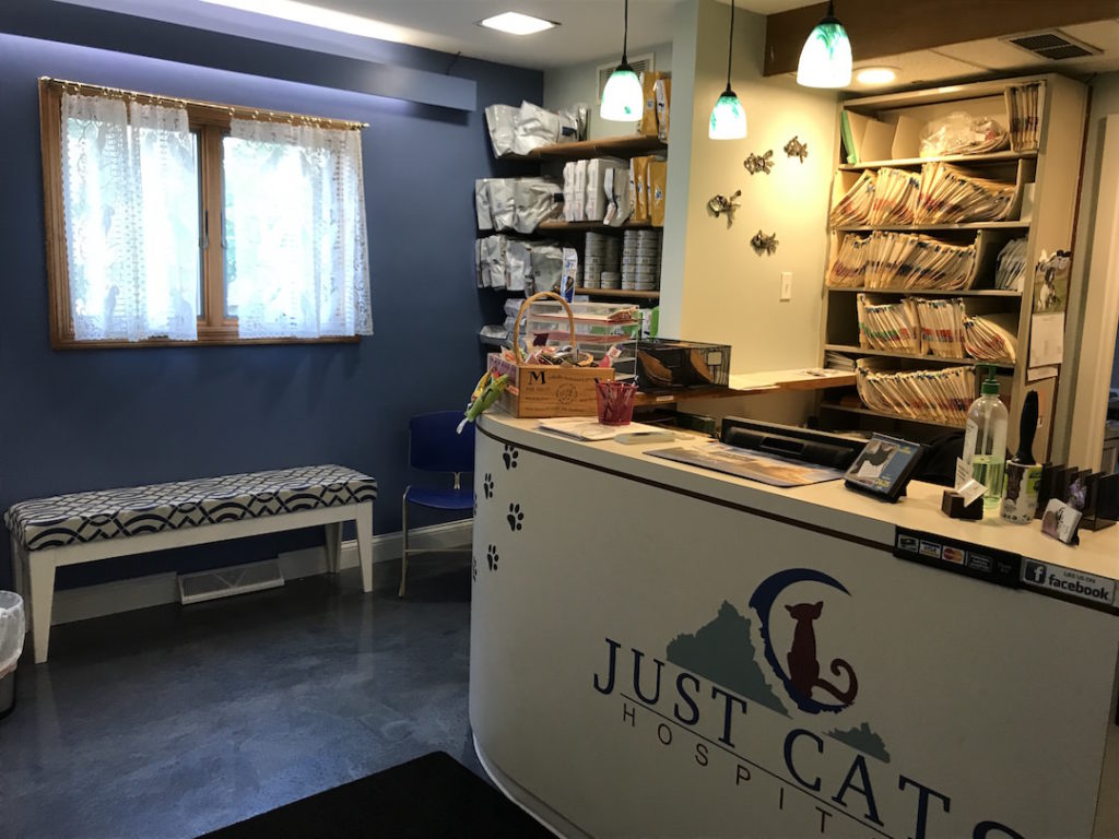 Cat Friendly Practice Just Cats Hospital