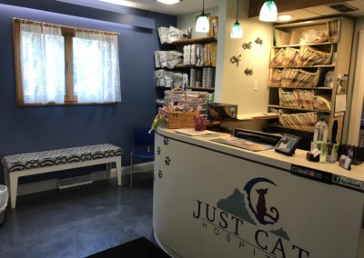 Just Cats Hospital Entrance