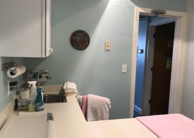 Just Cats Hospital Exam Room