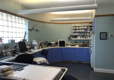 Just Cats Hospital Lab