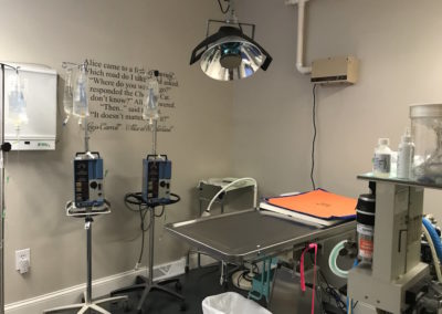 Just Cats Hospital Surgery Suite